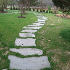 Bluestone irregular flagging walkway